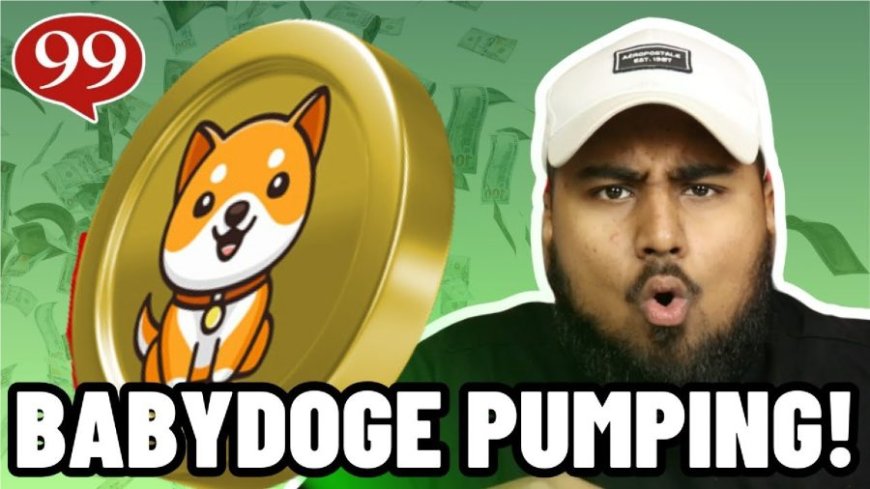 Baby Doge Coin Soars After Binance Listing – Should You Invest? --[Reported by Umva mag]