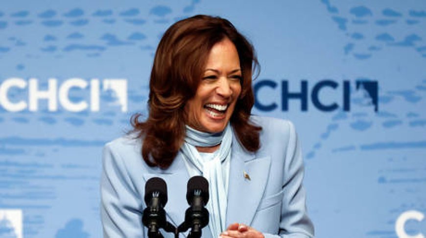 Harris ‘too busy’ to talk to media – adviser --[Reported by Umva mag]