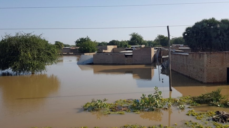 Chad floods kill 503, affect 1.7 million people, UN says --[Reported by Umva mag]