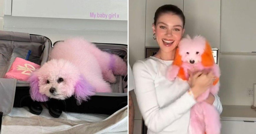 Nicola Peltz shocks fans as she dyes her dogs pink and orange after ‘filing lawsuit against pet groomer’ over sudden death of beloved chihuahua --[Reported by Umva mag]