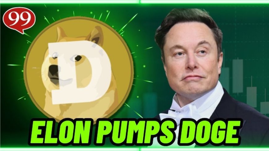 DOGE Price Prediction 2024 – Could Elon Musk Really Pump The Dogecoin Price Again? --[Reported by Umva mag]