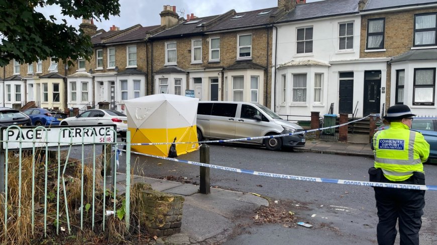 Schoolboy stabbed to death cried ‘I’m 15, don’t let me die’ as he lay in ‘pool of blood’ outside Woolwich flat --[Reported by Umva mag]