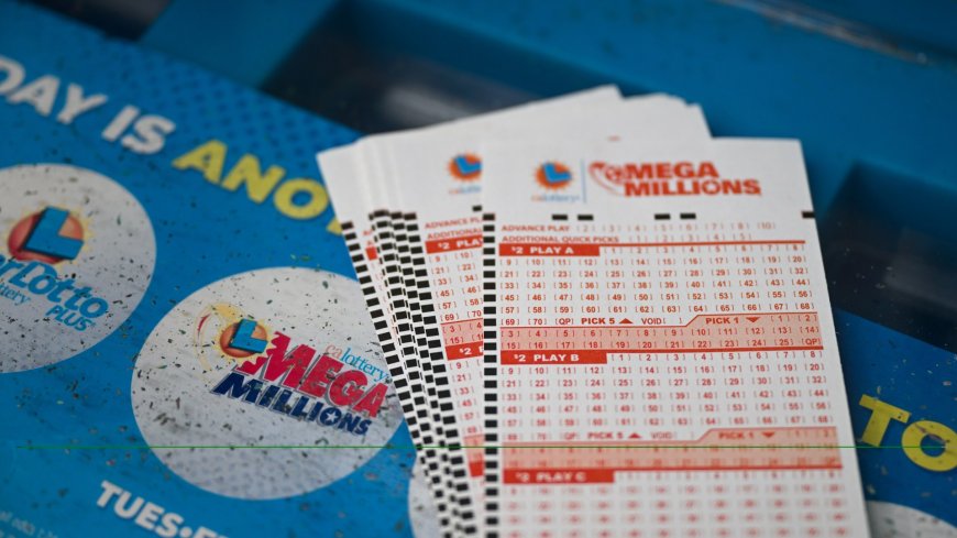 Lottery expert reveals six numbers to always AVOID if you want to win big – and keep the jackpot all to yourself --[Reported by Umva mag]