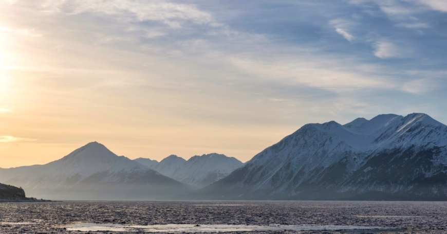 Why an Alaska Island Is Using Peanut Butter and Black Lights to Find a Rat That Might Not Exist --[Reported by Umva mag]