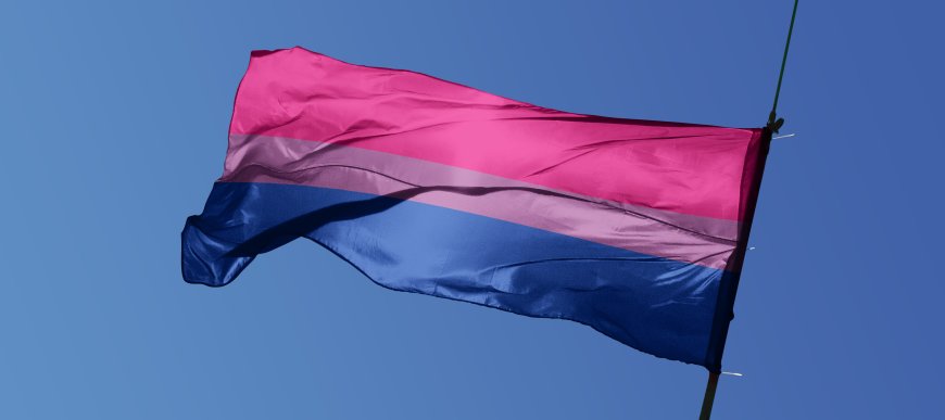 Bigots mad at David Lammy for flying bisexual Pride flags at Foreign Office --[Reported by Umva mag]