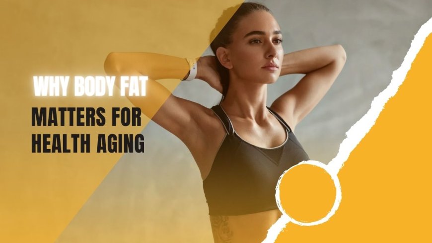 Why Body Fat Matters for Healthy Aging? --[Reported by Umva mag]