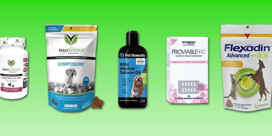 The best dog supplements for joint pain, gut health, anxiety, and more --[Reported by Umva mag]