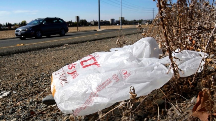 California governor signs law banning all plastic shopping bags at grocery stores --[Reported by Umva mag]