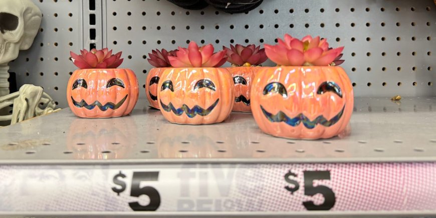 I went Halloween shopping at Five Below with a $50 budget and think the competition should be scared --[Reported by Umva mag]