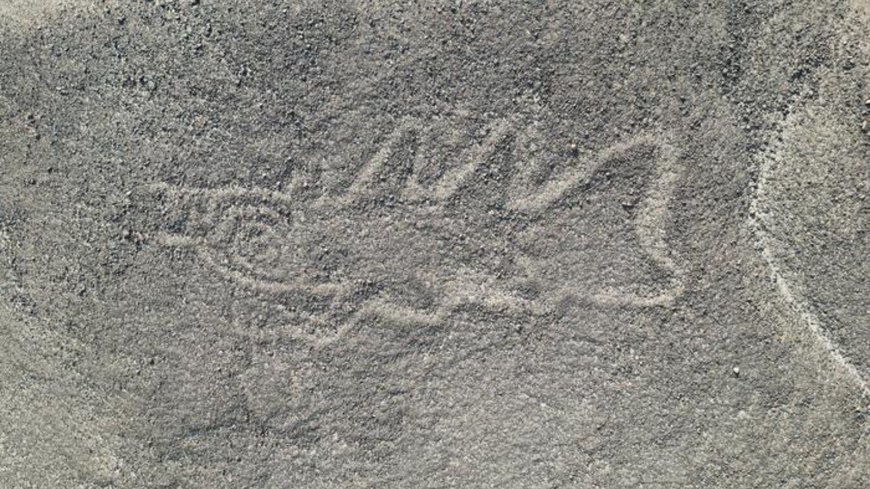 'Knife-wielding orca' and alien-looking figures among 300 Nazca Lines discovered in groundbreaking AI study --[Reported by Umva mag]