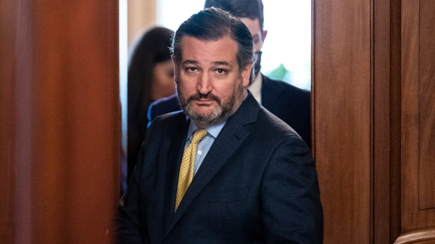 Cruz race now a 'tossup' should be warning for Texas GOP, says expert --[Reported by Umva mag]