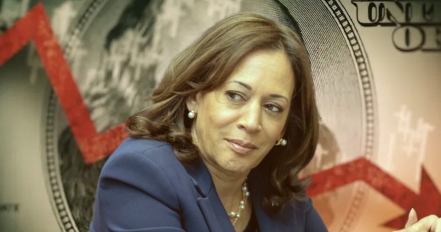 Ex-CIA Advisor: “Kamala Set to Trigger Election Meltdown” --[Reported by Umva mag]