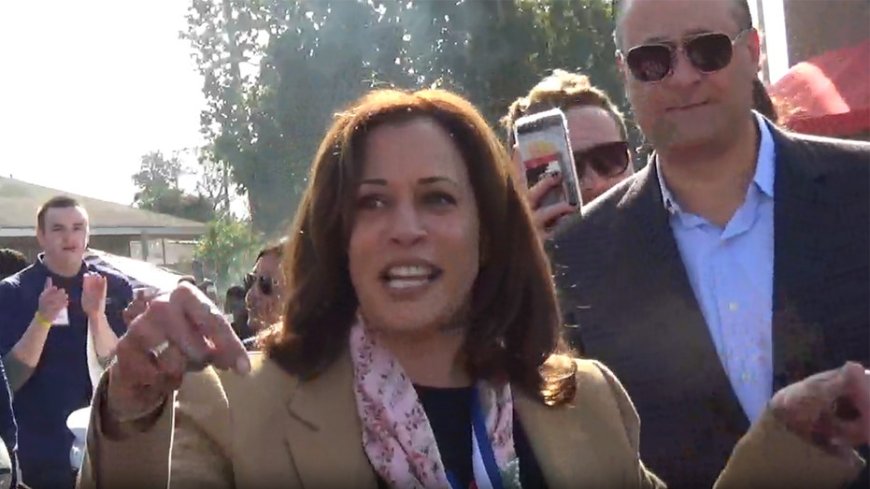 Video resurfaces of Harris chanting ‘down with deportation’ at 2018 parade with disgraced actor --[Reported by Umva mag]