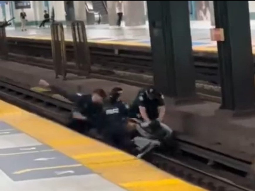 WARMINGTON: Arrest of allegedly armed man on TTC tracks 'could have been much worse' --[Reported by Umva mag]