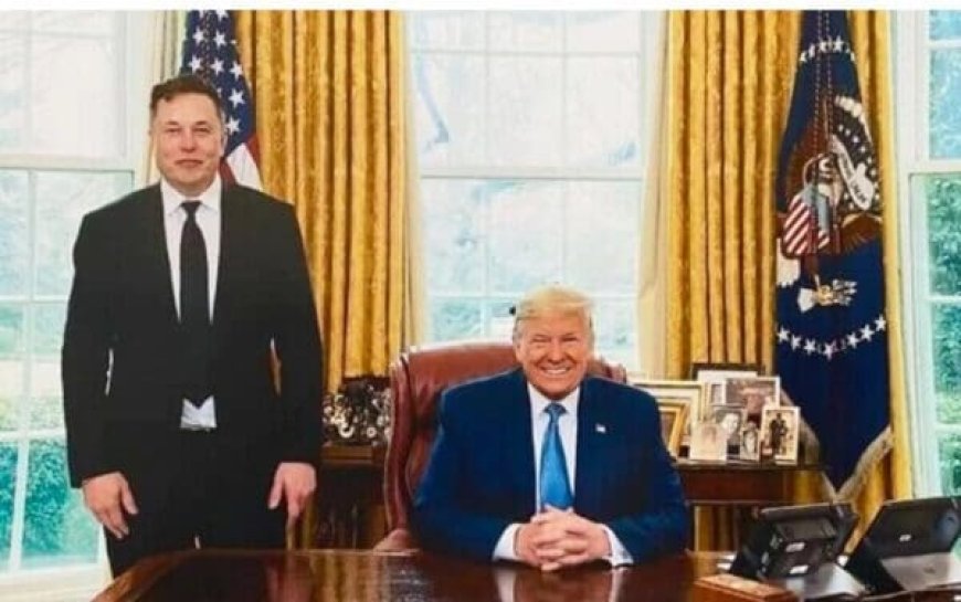 Trump Turned His Door Knocking Operation Over To Elon Musk And Then It Vanished --[Reported by Umva mag]