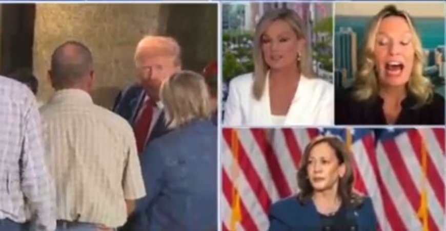 WATCH: Fox News’s Sandra Smith Embarrasses Kamala Harris Lackey and Makes Her Implode After Asking Pointed Questions About Harris’s ‘Plan’ to Lower Prices --[Reported by Umva mag]