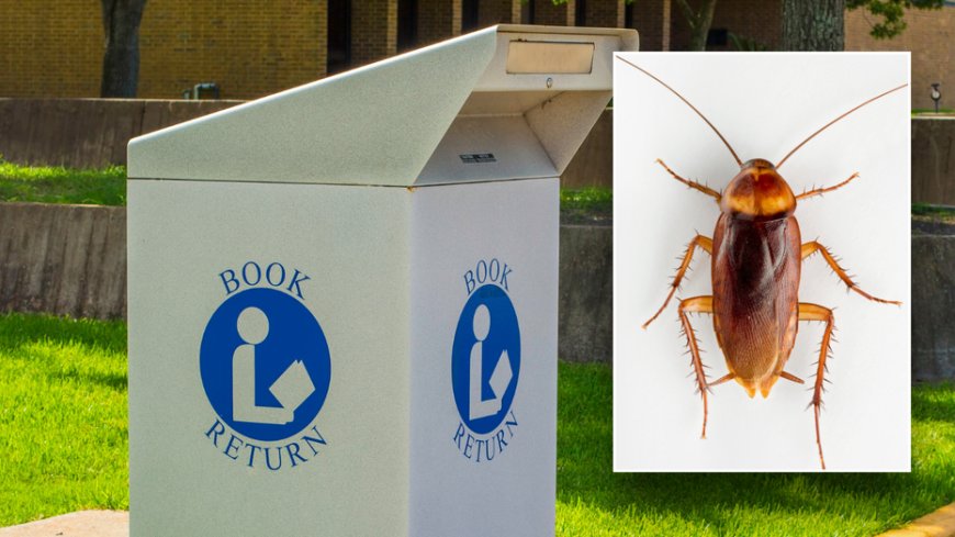 Creepy insect crawls out of DVD return, prompts Michigan library to close --[Reported by Umva mag]