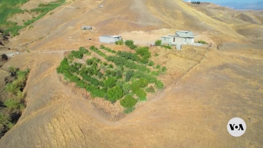 Kurdish woman works to revive abandoned hometown --[Reported by Umva mag]