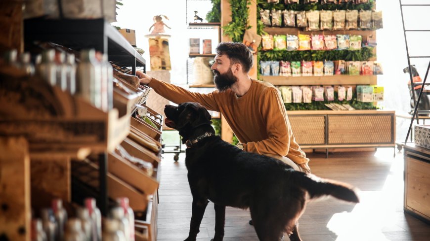 All the high street shops where dogs are allowed to enter – as many still BAN pets --[Reported by Umva mag]