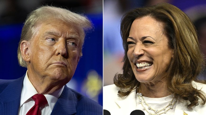 Piling on: A tsunami of anti-Trump pieces offer a stark contrast with Kamala’s upbeat coverage --[Reported by Umva mag]