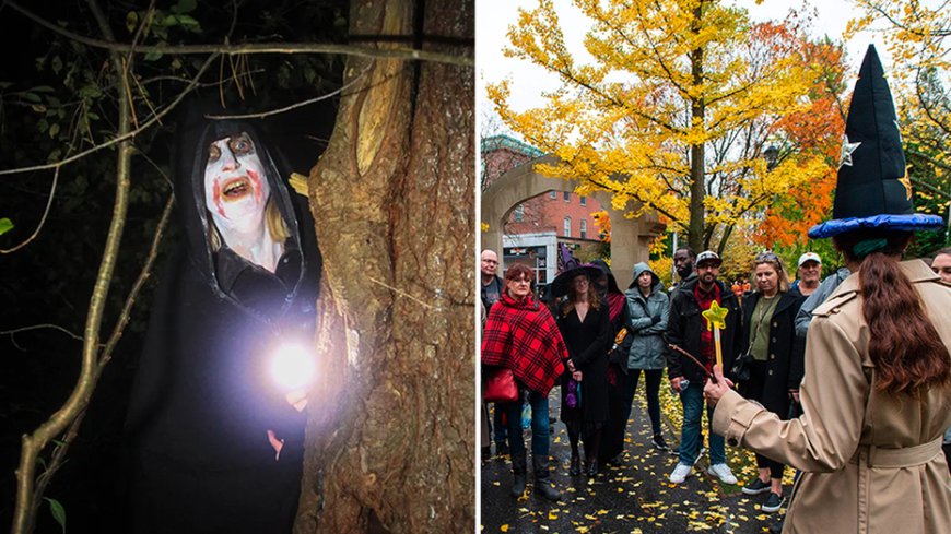 'Scream tourism' trend has Halloween fans and travelers flocking to creepy spots all year round --[Reported by Umva mag]