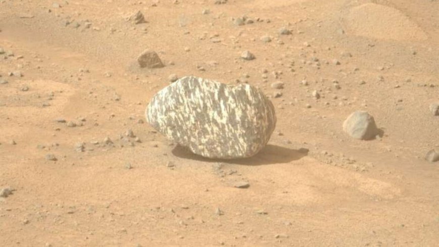 Weird 'zebra rock' on Mars is unlike anything seen before on Red Planet, NASA says --[Reported by Umva mag]