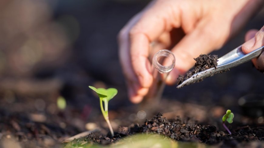 How to Get Your Soil Tested for Free (and Why You Should) --[Reported by Umva mag]