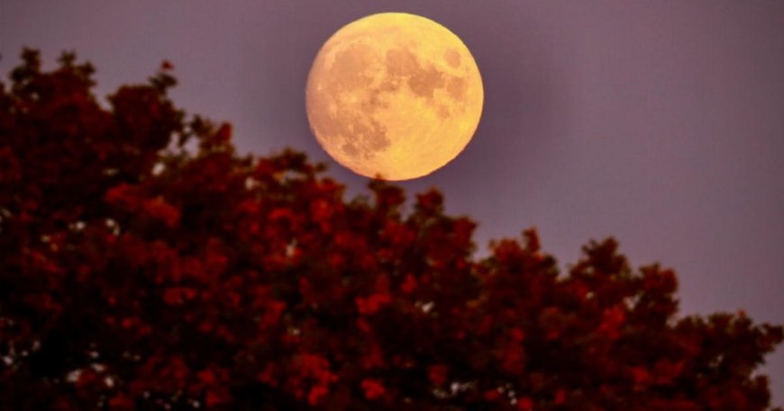 When is the next full moon? October 2024’s Hunter’s Moon is almost here --[Reported by Umva mag]