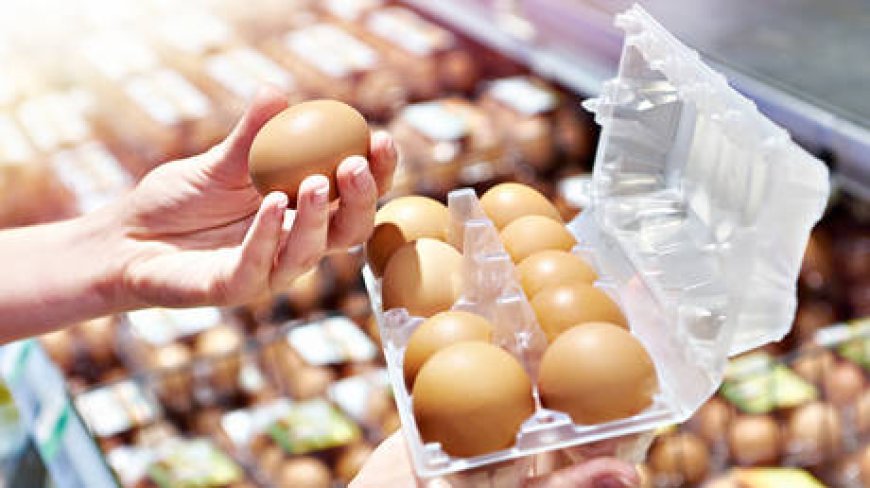 EU state calls for ban on Ukrainian eggs --[Reported by Umva mag]