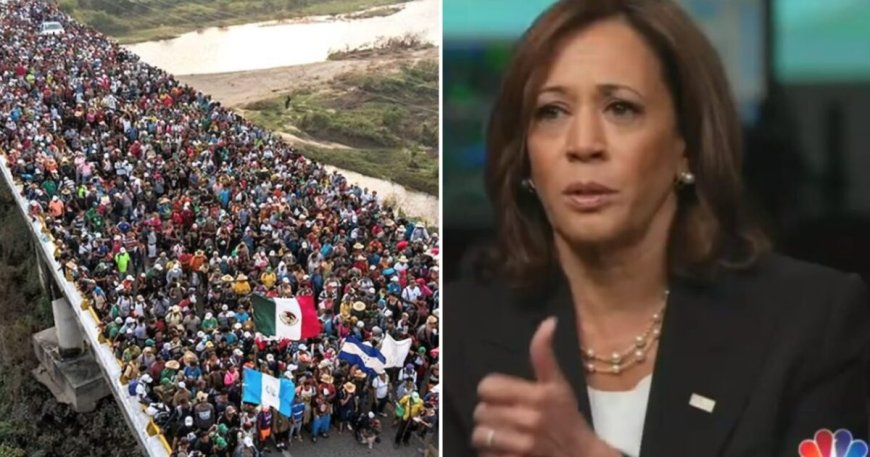 JUST IN: Border Czar Kamala Harris Announces She Will Finally Visit the Border This Week – TRUMP RESPONDS --[Reported by Umva mag]