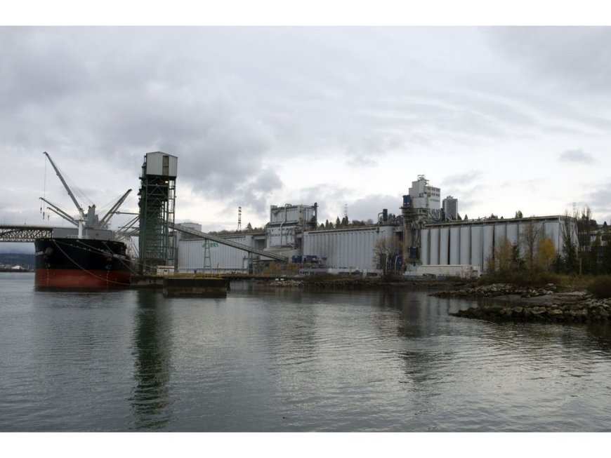 Vancouver Port’s Grain Workers Strike in Midst of Harvest Season --[Reported by Umva mag]