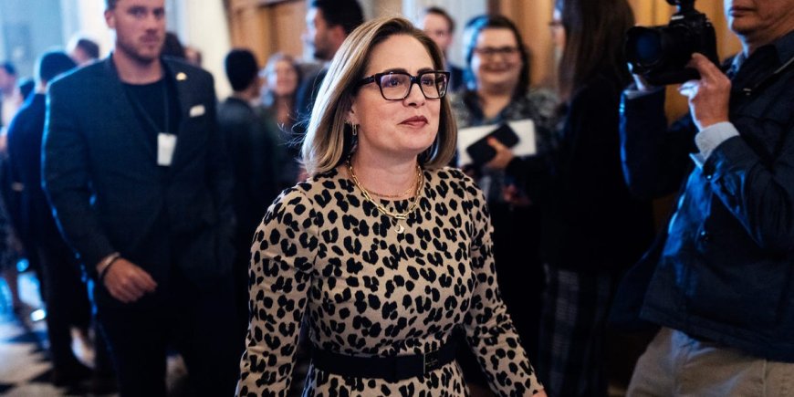 Kyrsten Sinema says she's 'fairly libertarian' and wants to work in the private sector after leaving the Senate: 'That's where the money comes from' --[Reported by Umva mag]