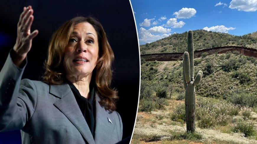 ‘Political stunt’: Critics dismiss Harris’ expected Arizona border visit as immigration remains top issue --[Reported by Umva mag]