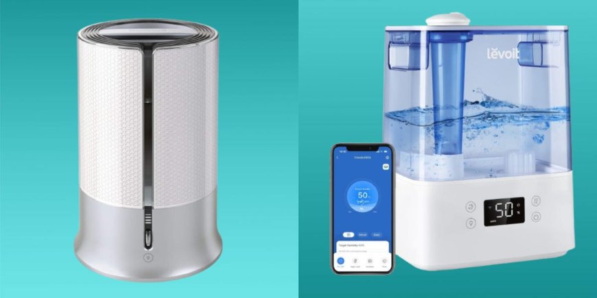 The 5 best humidifiers of 2024, tested and reviewed --[Reported by Umva mag]