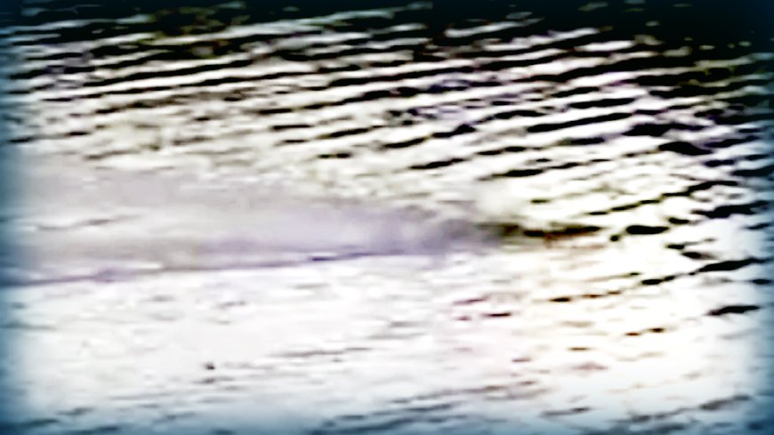 WATCH: Footage Suggests There Are Currently TWO Loch Ness Monsters --[Reported by Umva mag]