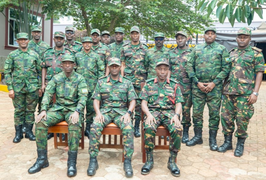 Rwanda, Tanzania armies discuss cross-border security --[Reported by Umva mag]