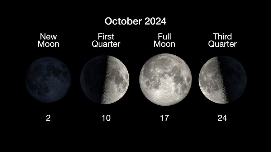 What is the moon phase today? Lunar phases 2024 --[Reported by Umva mag]