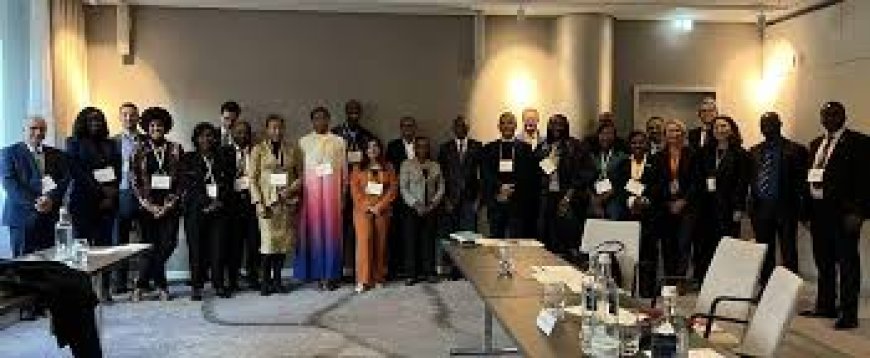 Hamburg Sustainability Conference spotlights youth entrepreneurship in Africa, AfDB support --[Reported by Umva mag]