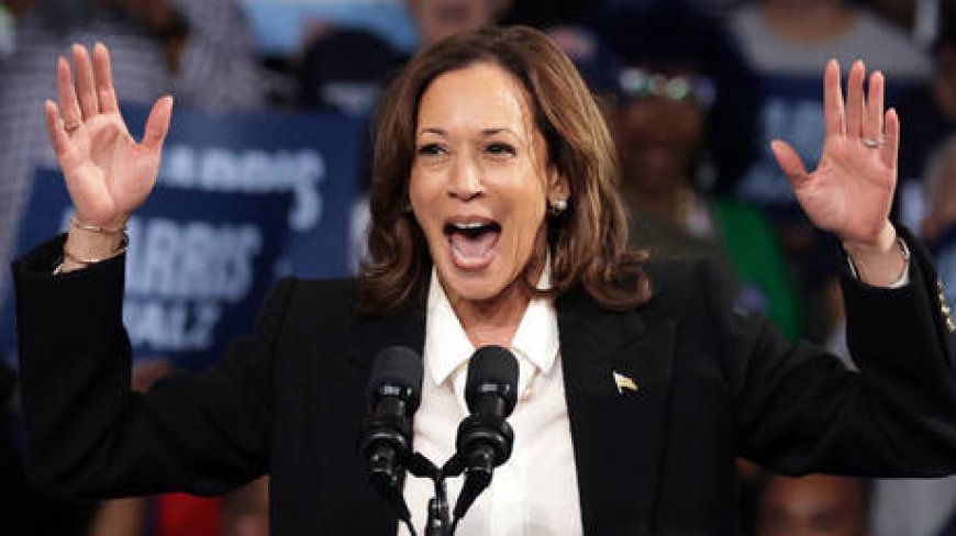 ‘Something very wrong’ with Kamala Harris – Trump --[Reported by Umva mag]