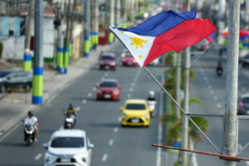 Delays in VAT rebates dampen net inflows of FDI to the Philippines --[Reported by Umva mag]