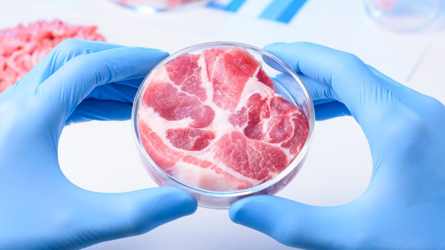 Lab-grown meat could be on our plates in just two years under new government plans --[Reported by Umva mag]