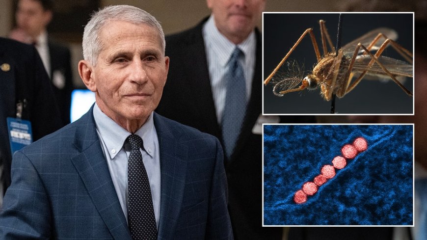 Fauci says West Nile Virus was a ‘harrowing’ experience: ‘Afraid I would never recover’ --[Reported by Umva mag]