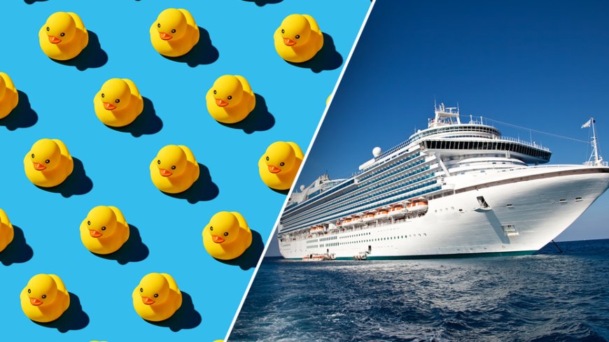 Cruise passengers go wild hiding rubber ducks on ships in viral game of hide-and-seek --[Reported by Umva mag]