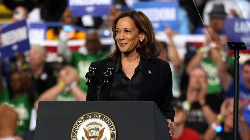 Kamala Harris' 'joy' is quietly turning to panic for Democrats --[Reported by Umva mag]