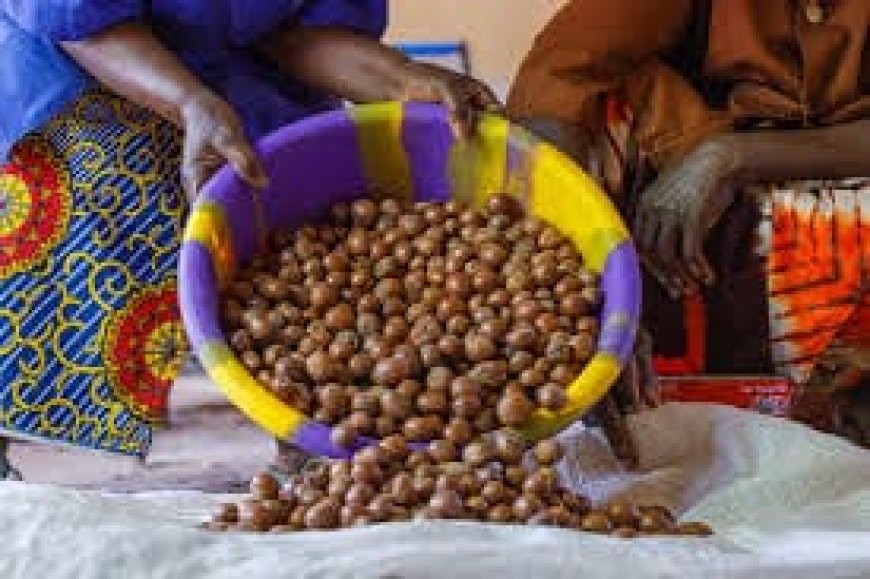 Mali suspends export of specific agricultural produce --[Reported by Umva mag]