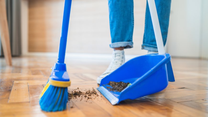 You Need a Better Broom (and Here Are Six to Choose From) --[Reported by Umva mag]