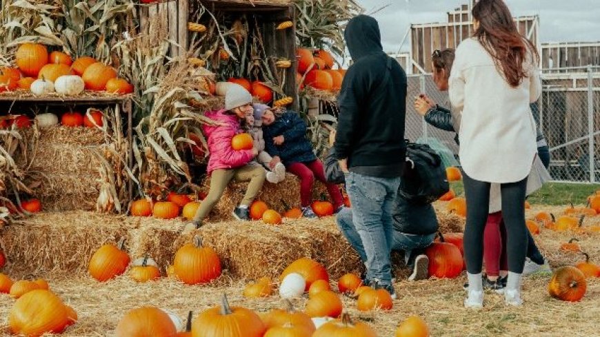 Weekend need-to-know: Pumpkinfest, Camp Spooky and Leafs home opener --[Reported by Umva mag]