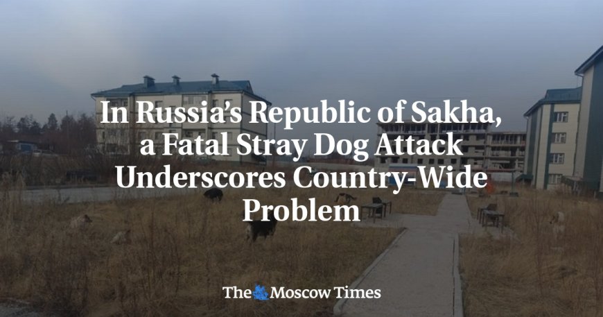 In Russia’s Republic of Sakha, a Fatal Stray Dog Attack Underscores Country-Wide Problem --[Reported by Umva mag]