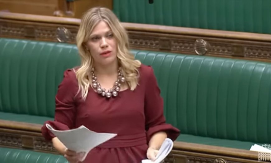 Former Tory MP calls sex education a ‘psychological experiment’ that should be axed --[Reported by Umva mag]