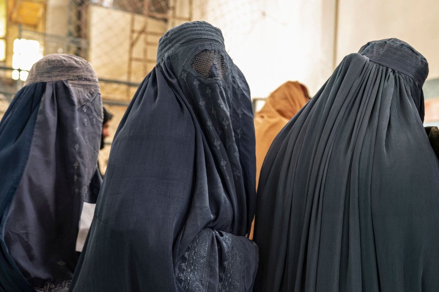 Australia and three more countries to take Taliban to International Court for gender discrimination --[Reported by Umva mag]